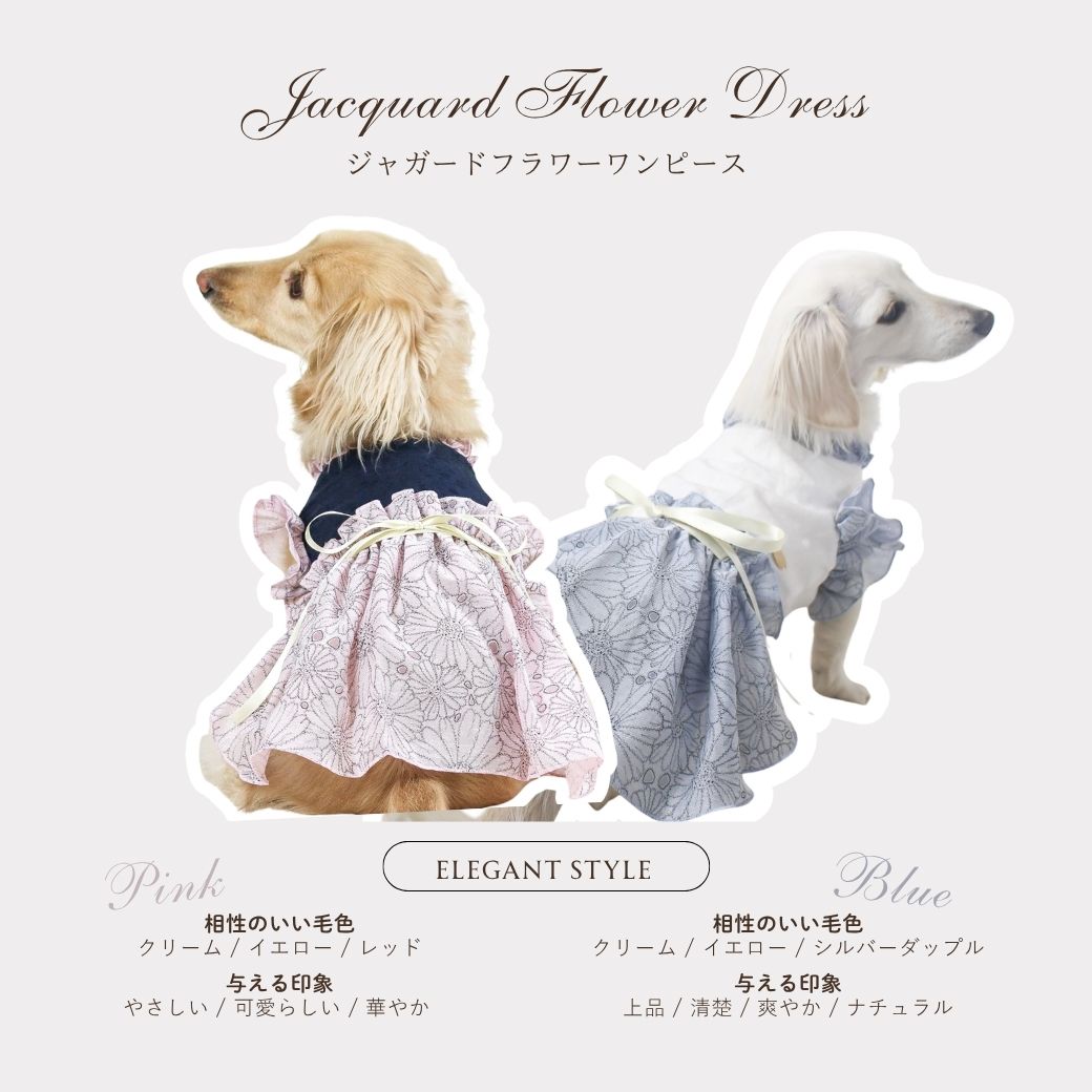 ジャガードフラワーワンピース｜ダックスフンド専門犬服Anjinho。上品なジャガード生地と木馬リボンが魅力のワンピース。