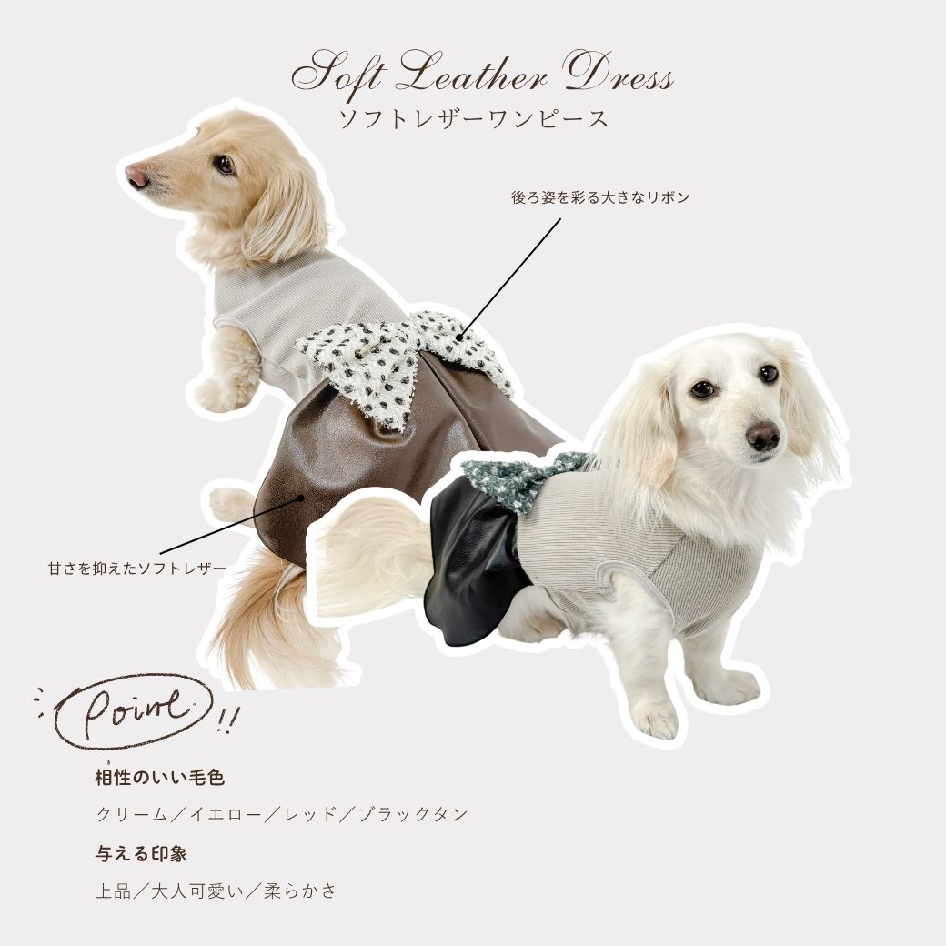 ダックスフンド専門の犬服ブランド｜Anjinho