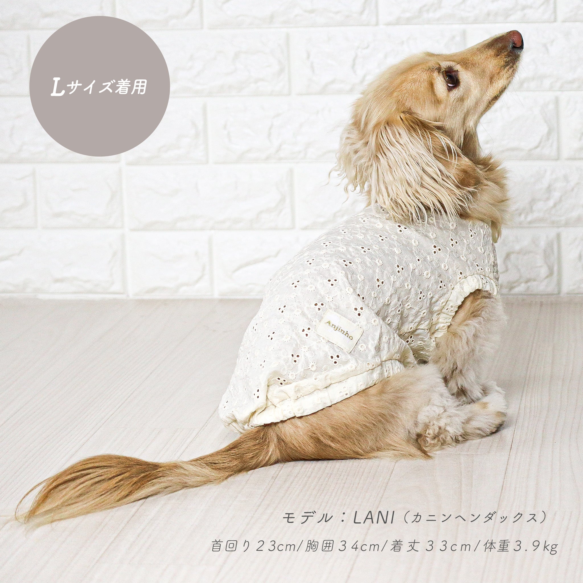 Anjinho公式】シャビーカラーオーバルライトトップス｜ダックスフンド