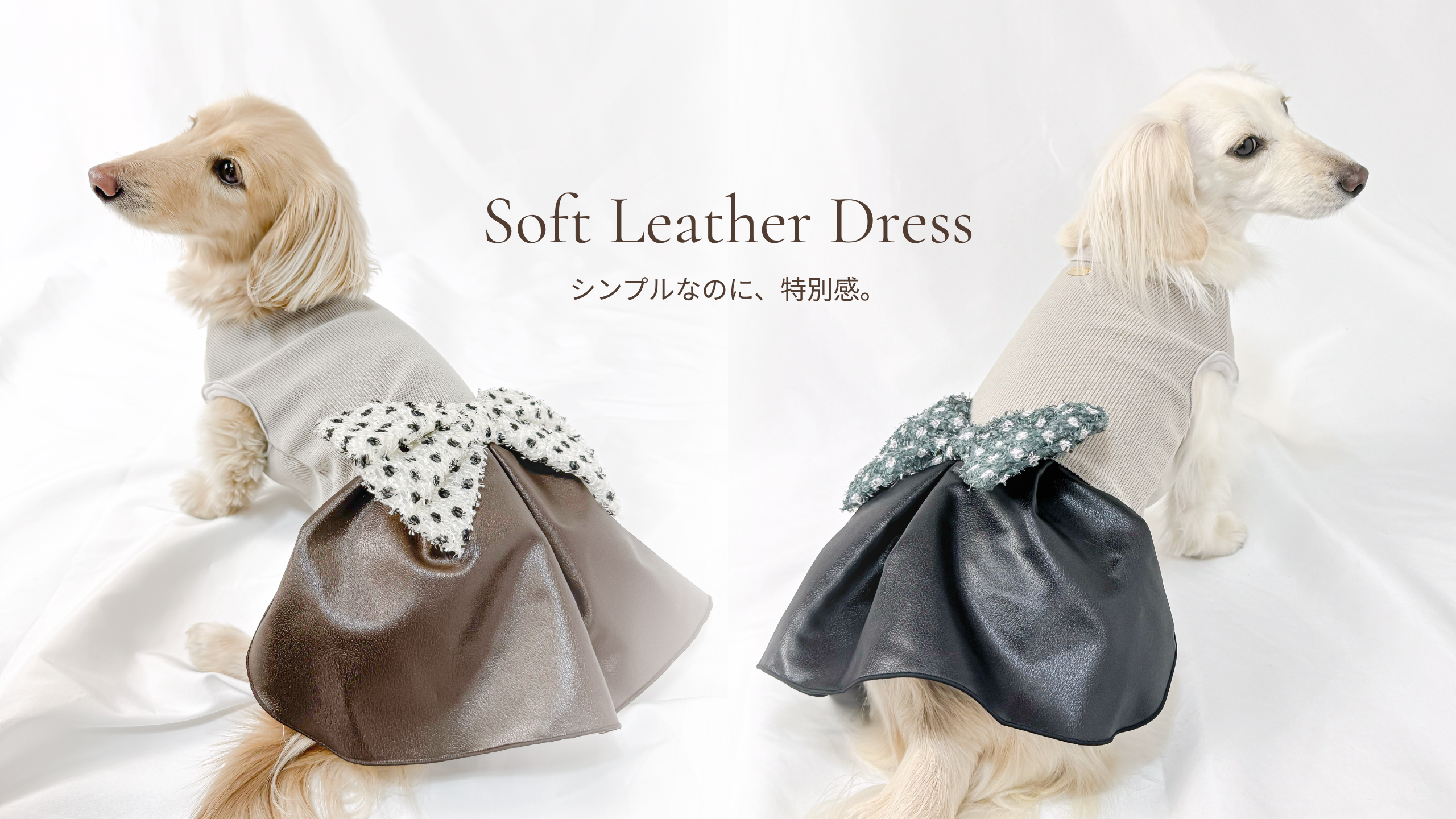 犬服 Anjinho｜ダックスフンドのための上質な犬服ブランド