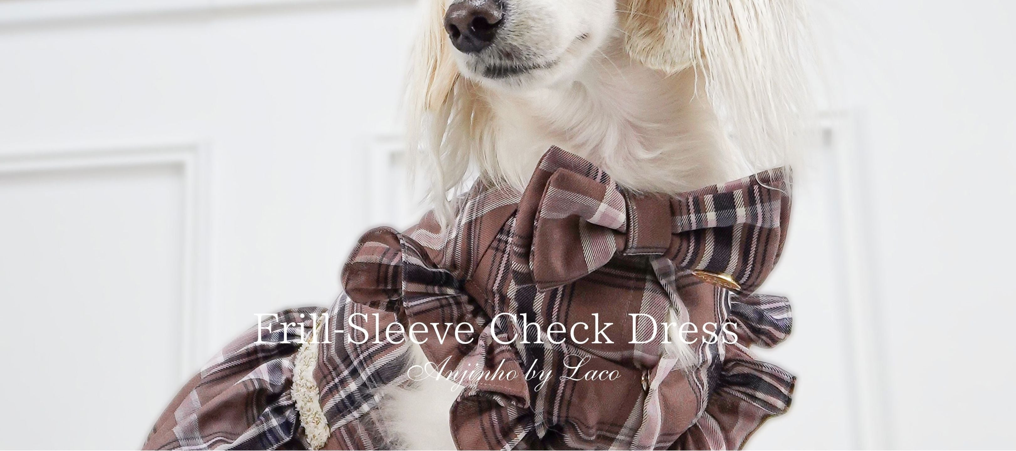 ダックスフンド専門の犬服ブランド｜Anjinho