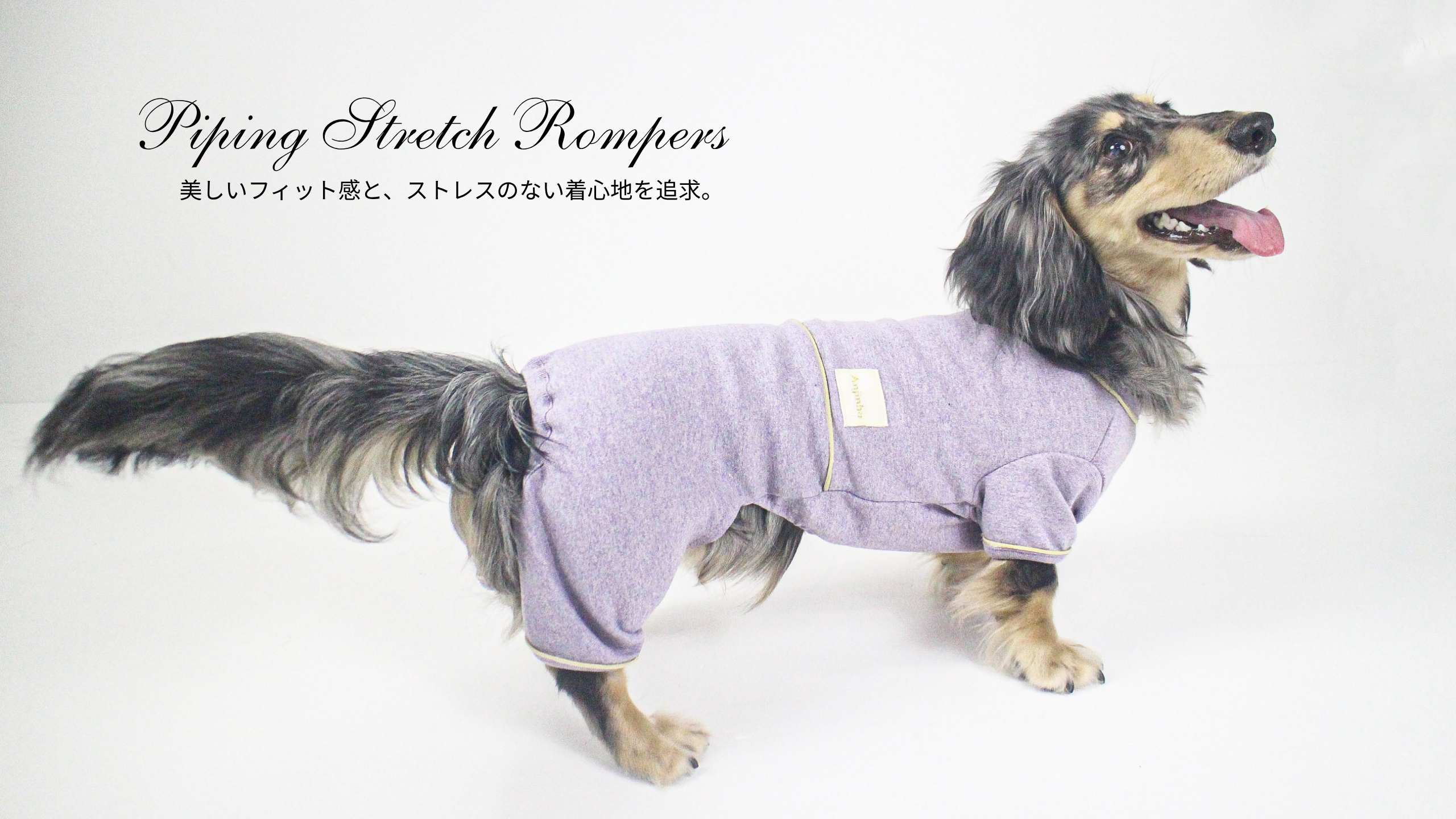 犬服 Anjinho｜ダックスフンドのための上質な犬服ブランド